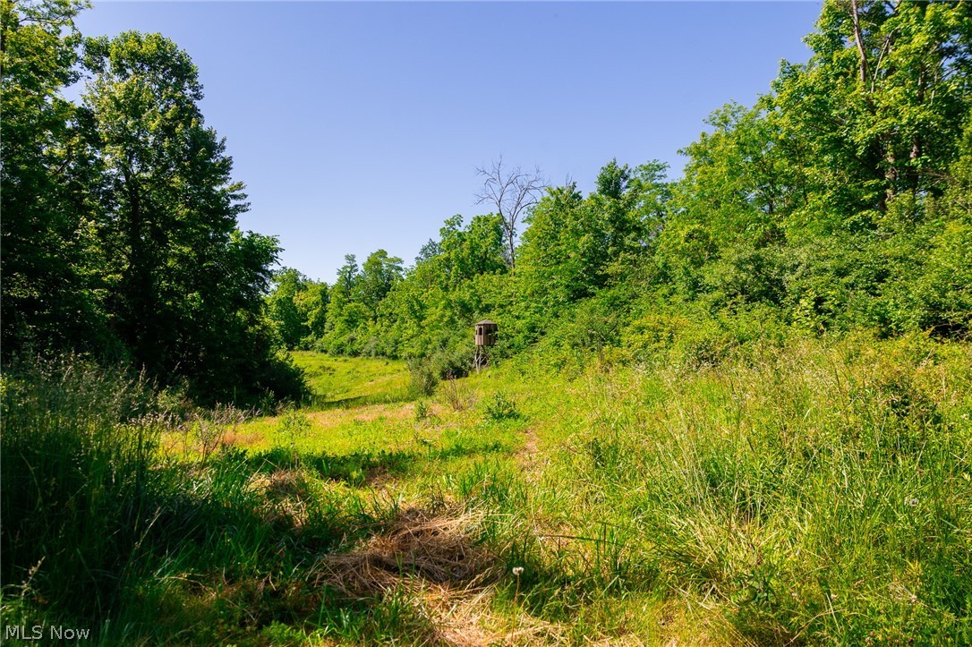 84143 Gilmore Ridge Road Cadiz OH 43907