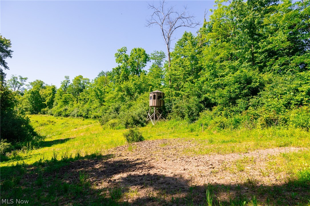 84143 Gilmore Ridge Road Cadiz OH 43907