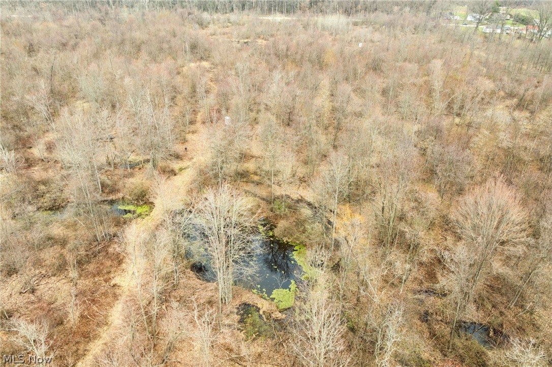 Center Road Poland OH 44436