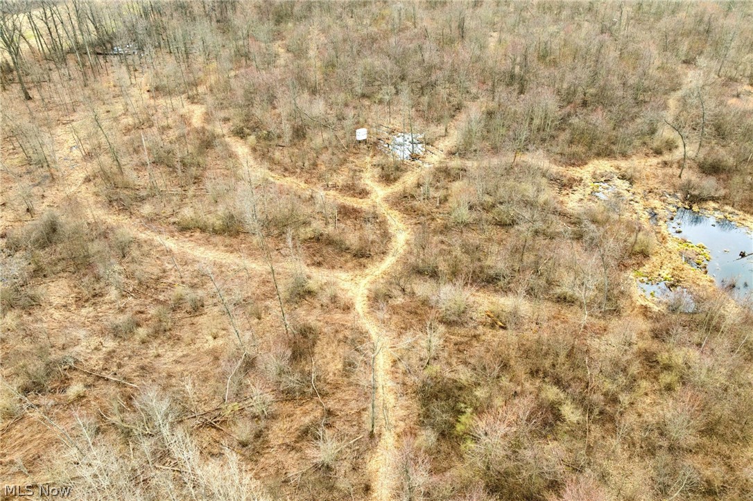 Center Road Poland OH 44436