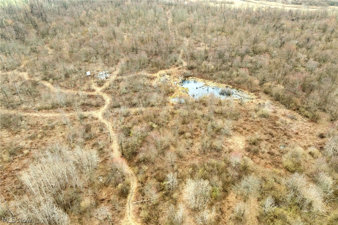 Center Road Poland OH 44436