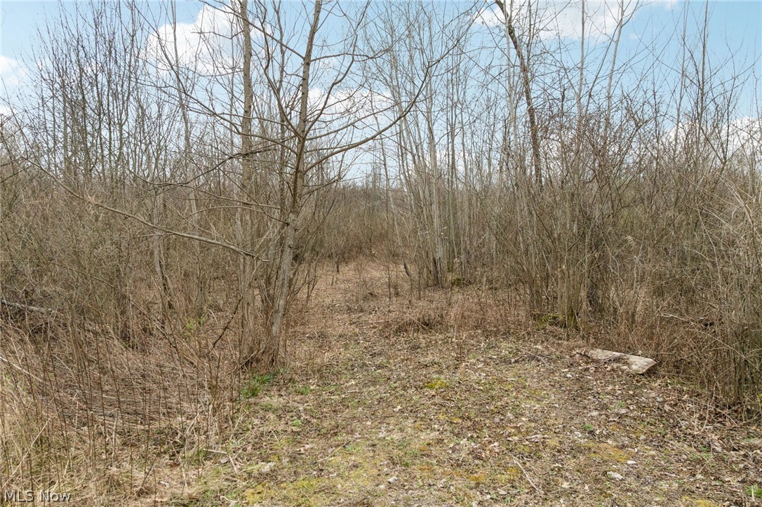 Center Road Poland OH 44436
