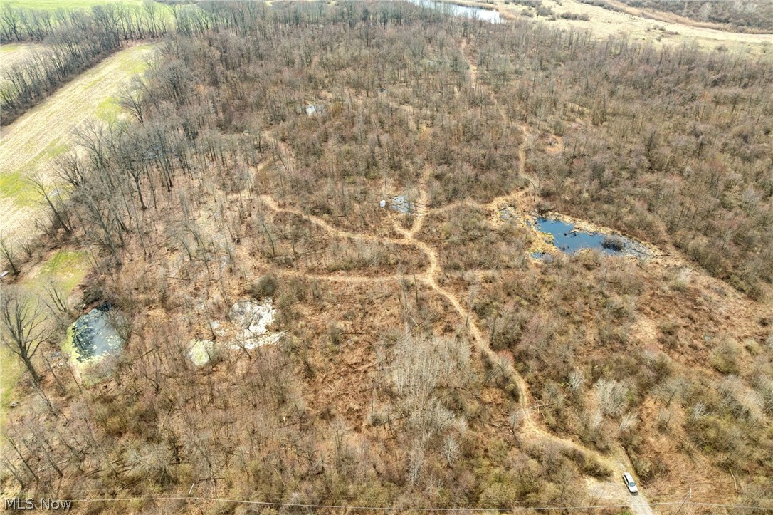 Center Road Poland OH 44436