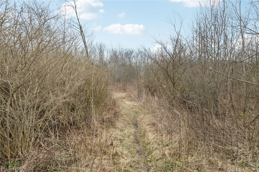 Center Road Poland OH 44436