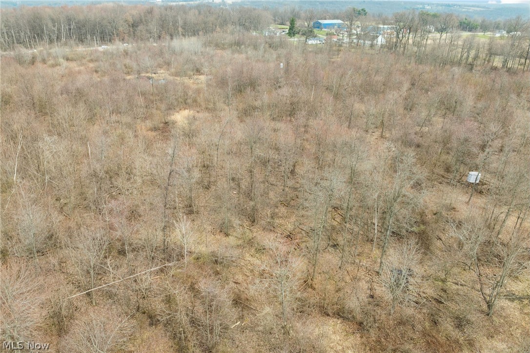 Center Road Poland OH 44436
