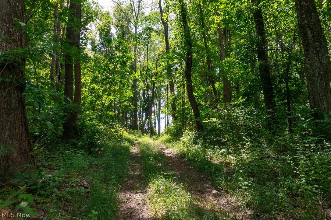 Stockdale Lane Zanesville OH 43701