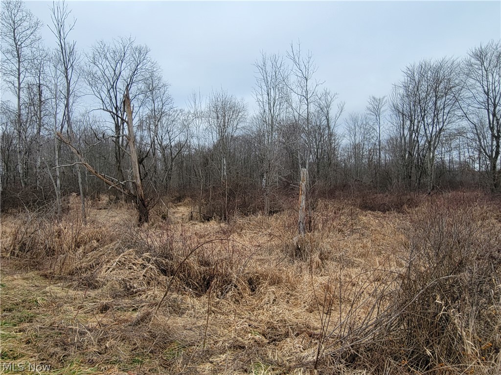 1709 State Route 46 N Jefferson OH 44047
