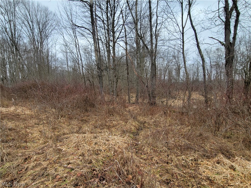 1709 State Route 46 N Jefferson OH 44047