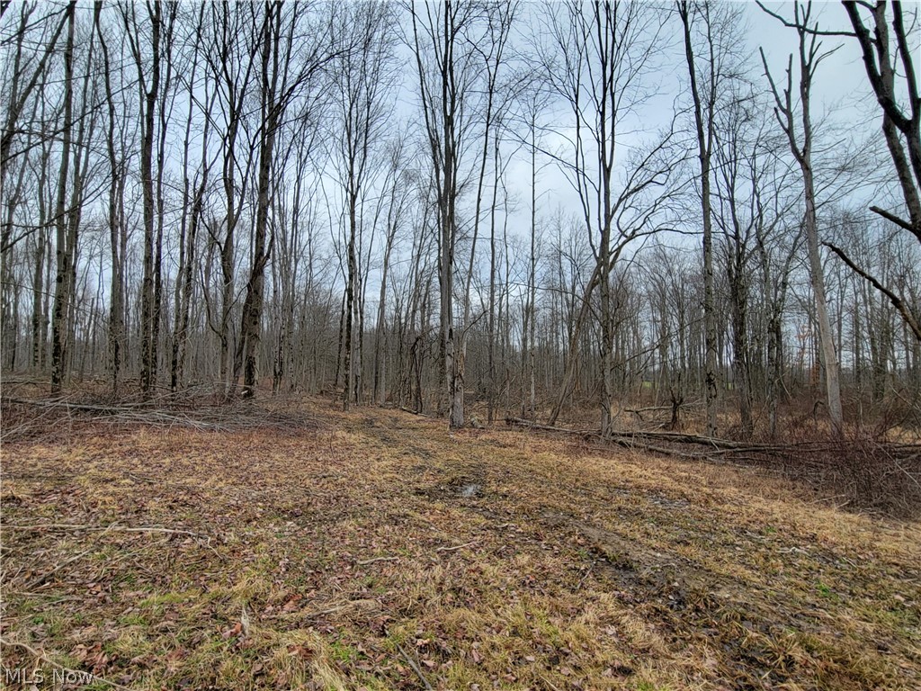 1709 State Route 46 N Jefferson OH 44047
