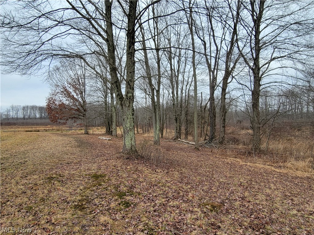 1709 State Route 46 N Jefferson OH 44047
