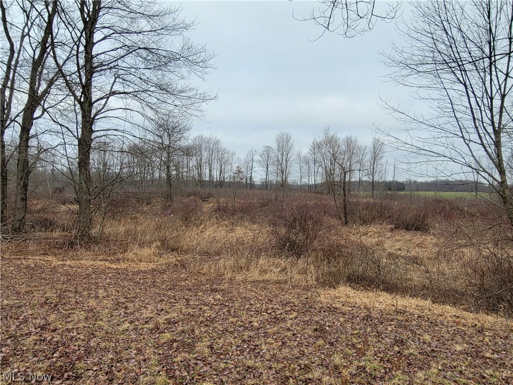 1709 State Route 46 N Jefferson OH 44047