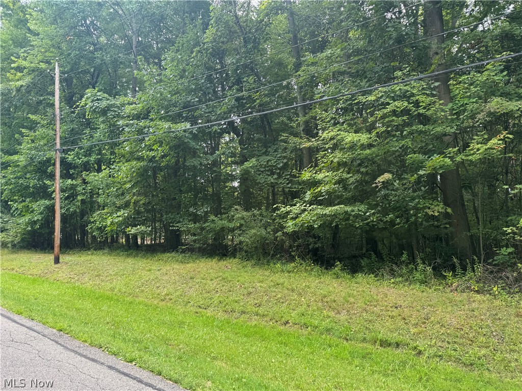1995 Flame Lake Drive Roaming Shores OH 44084