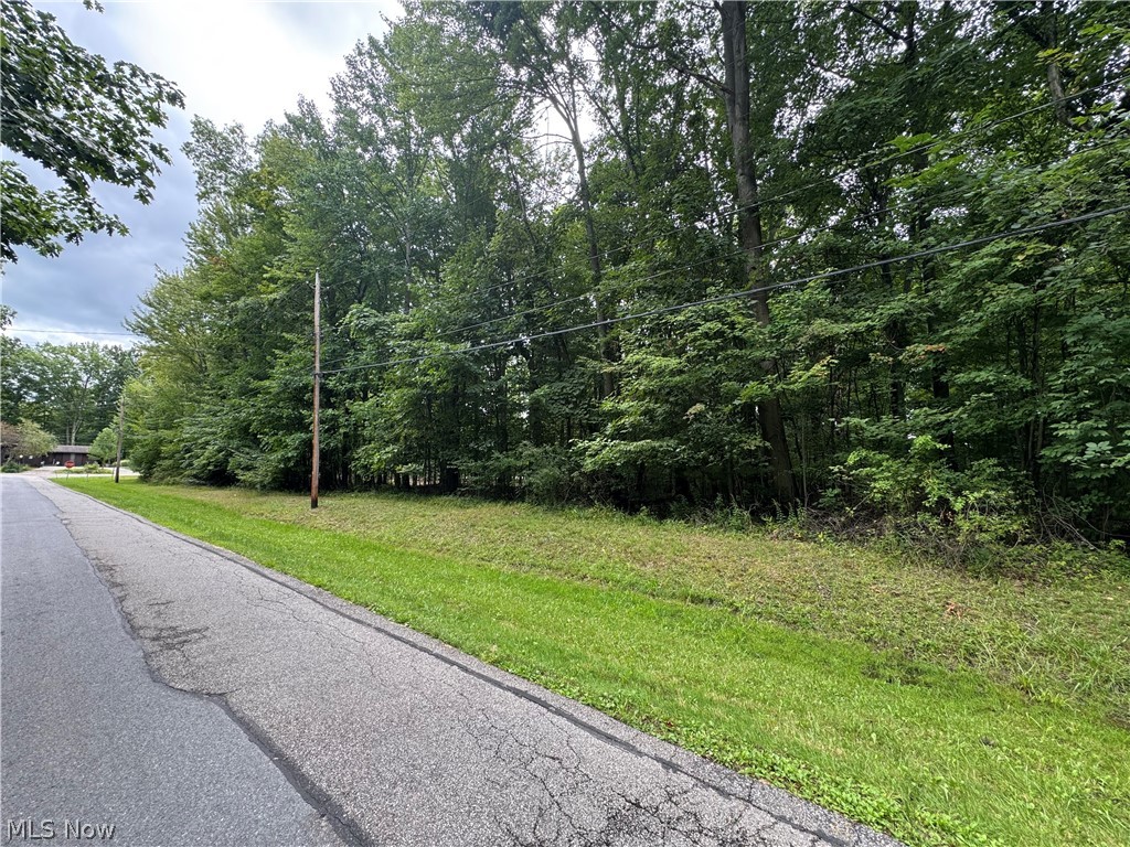 1995 Flame Lake Drive Roaming Shores OH 44084