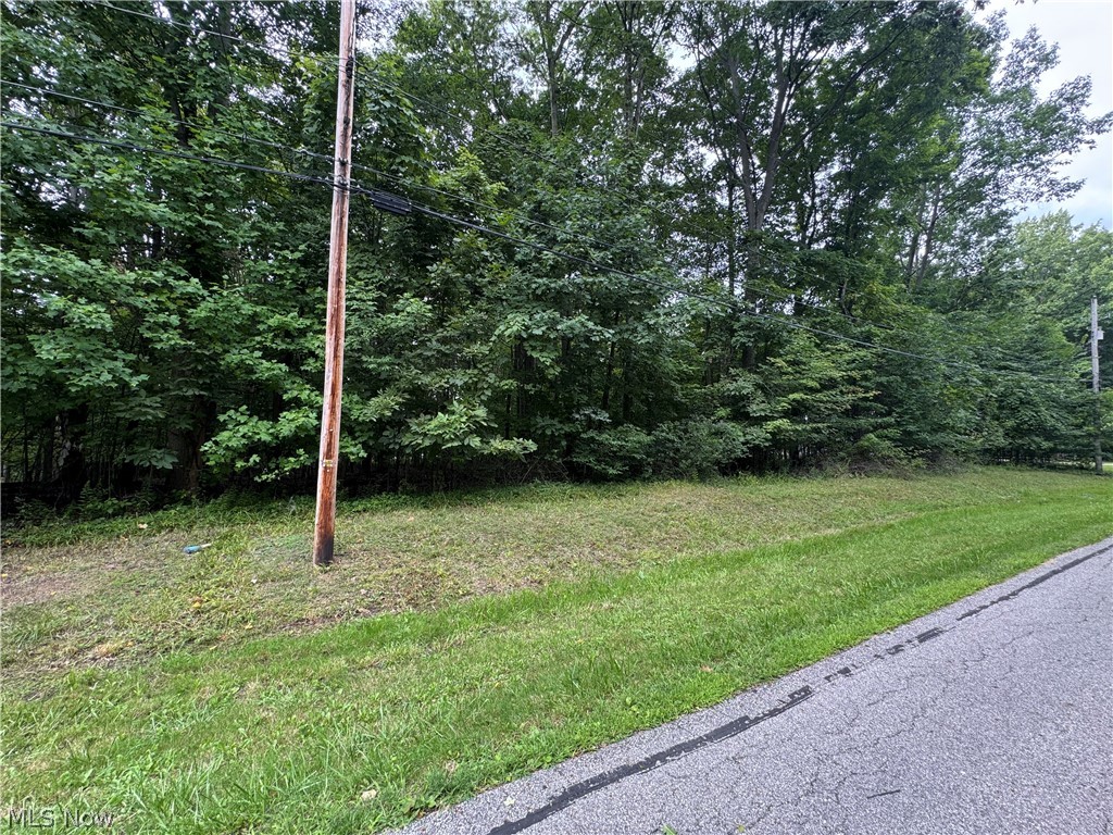 1995 Flame Lake Drive Roaming Shores OH 44084