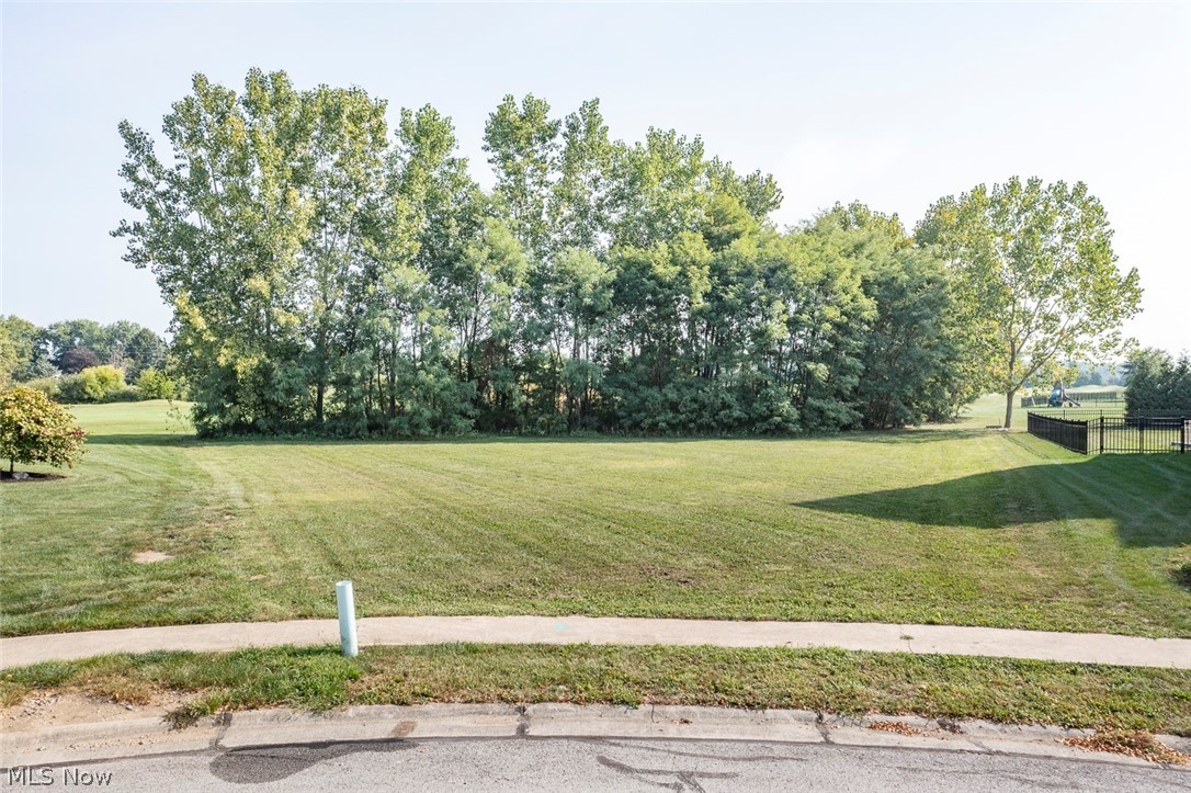 808 Willich Court Lagrange OH 44050