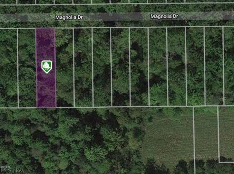 0 Magnolia #21 Drive Madison OH 44057