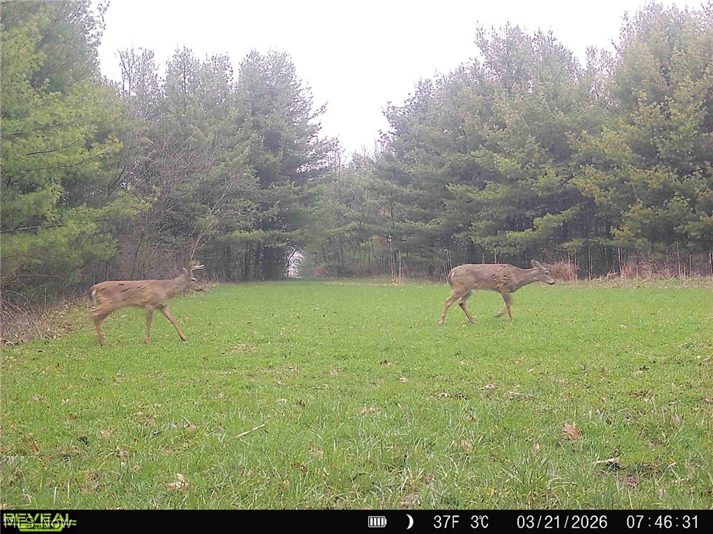 5742 Hilltop Drive NW Strasburg OH 44680