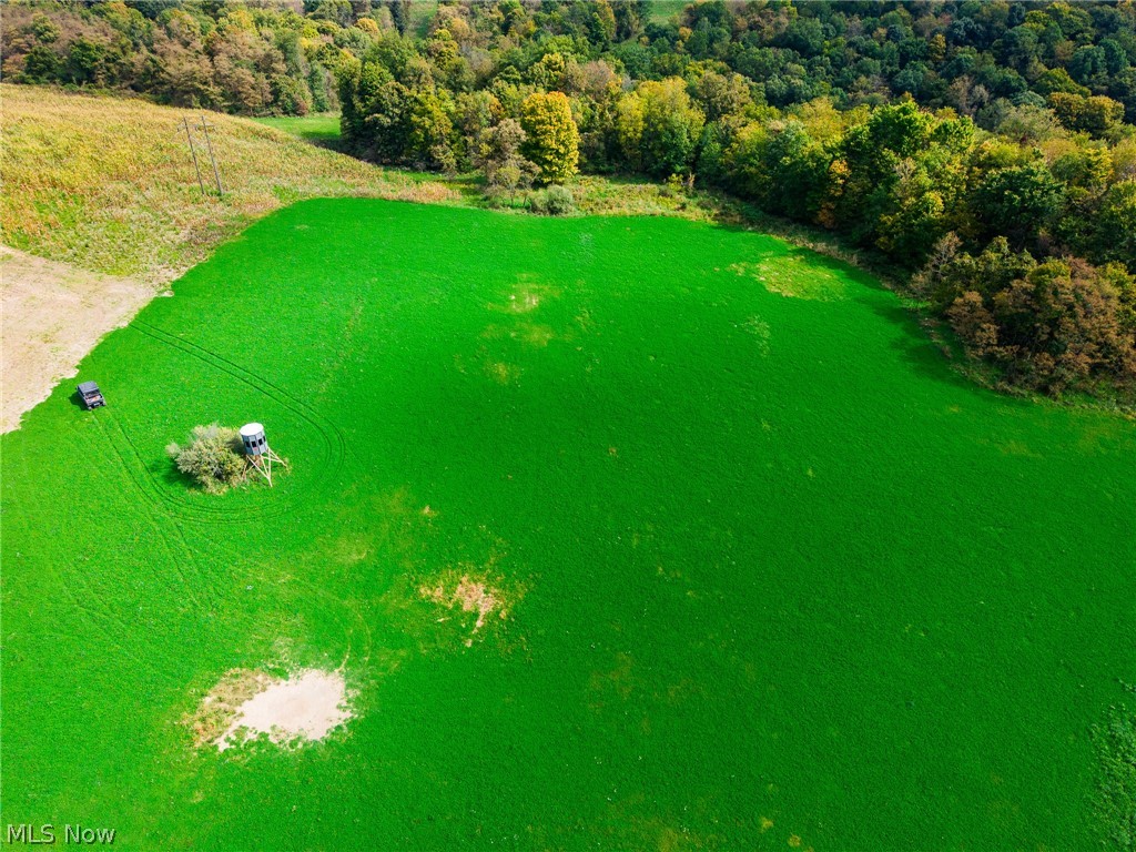 163 County Road 3 Rayland OH 43943