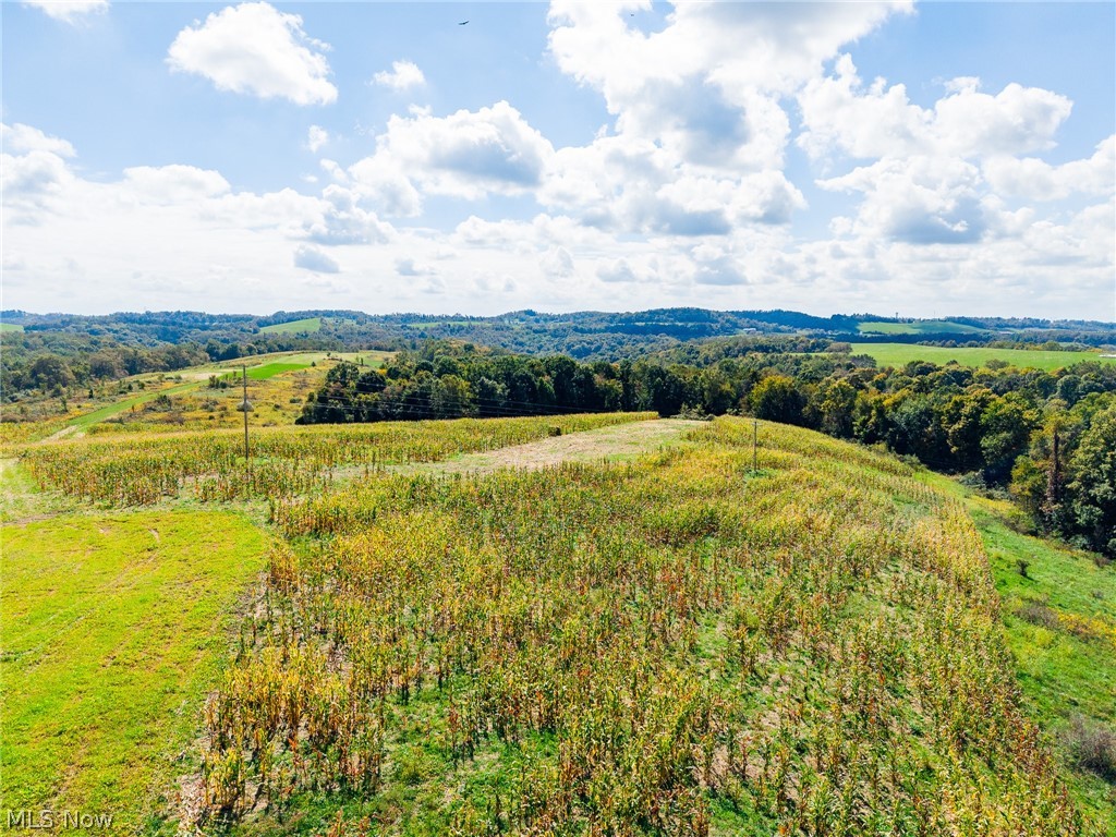 163 County Road 3 Rayland OH 43943