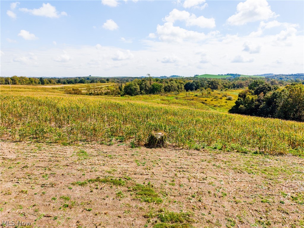 163 County Road 3 Rayland OH 43943