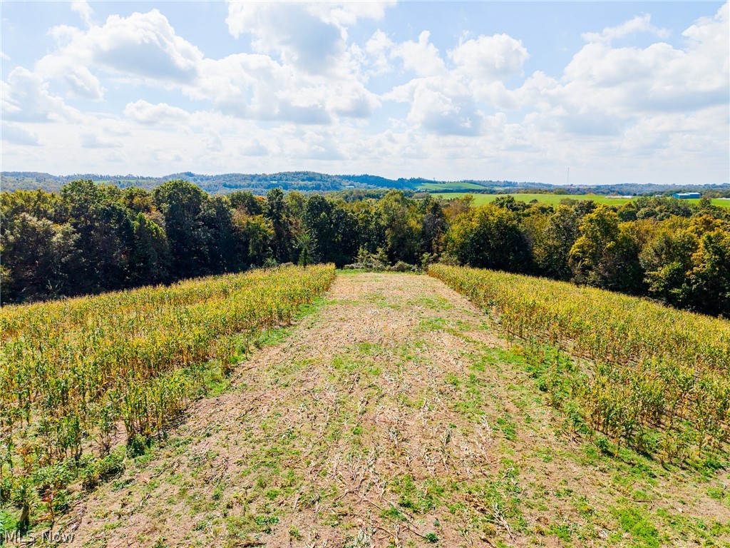 163 County Road 3 Rayland OH 43943