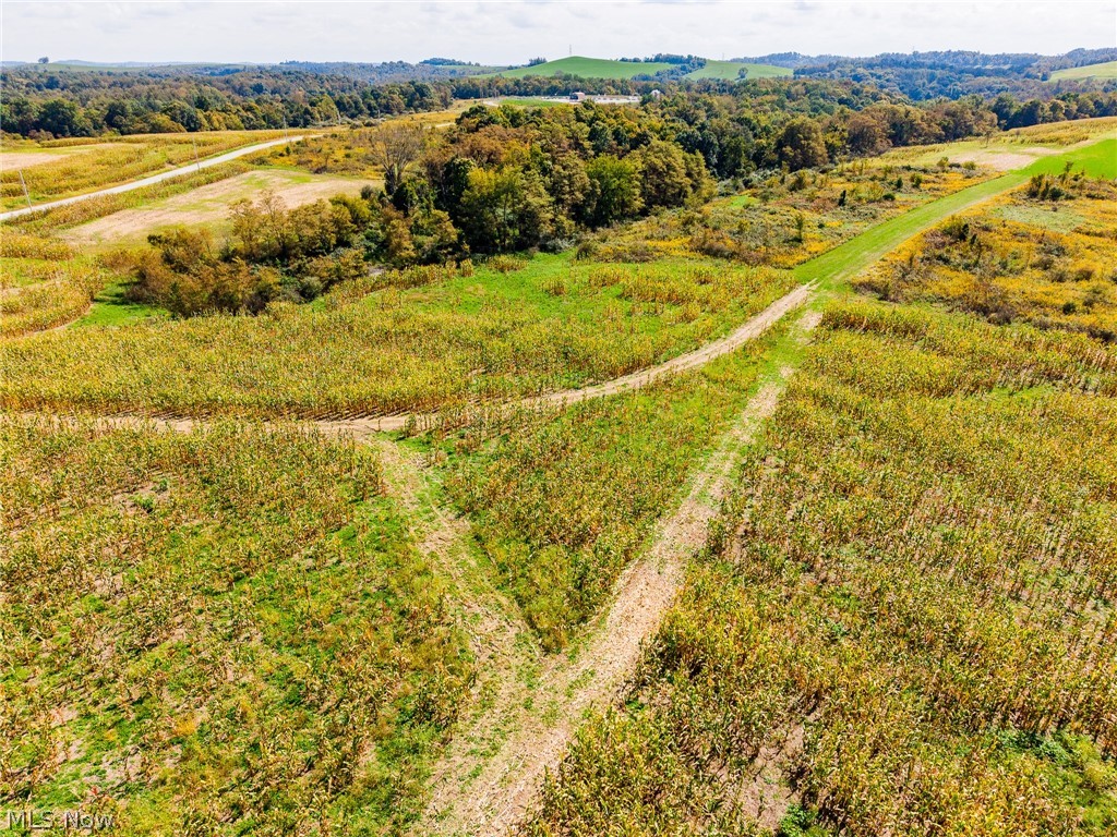 163 County Road 3 Rayland OH 43943