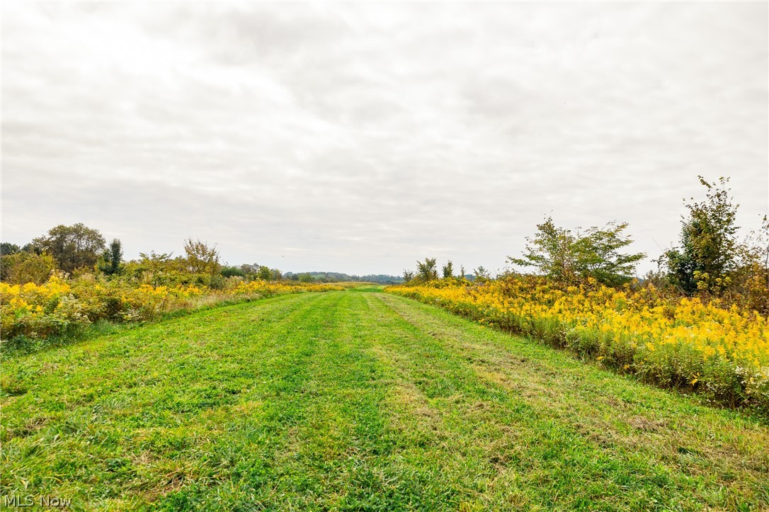 163 County Road 3 Rayland OH 43943