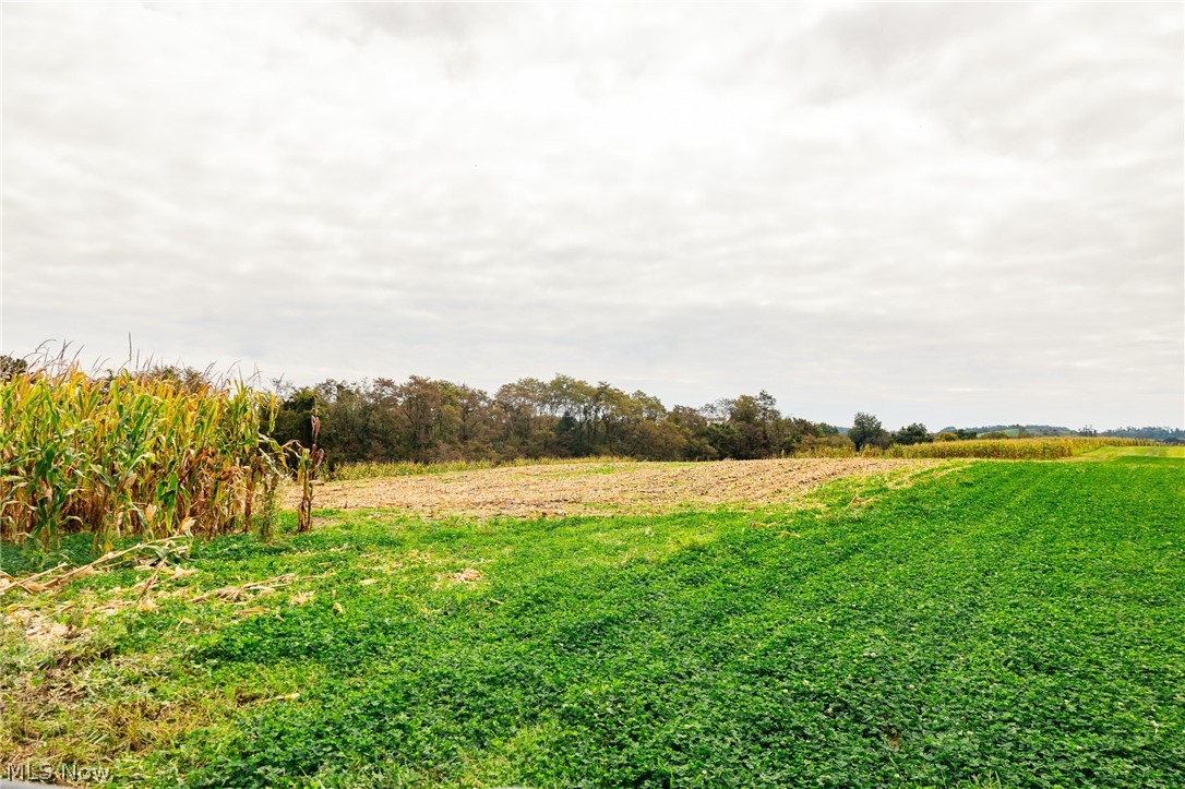 163 County Road 3 Rayland OH 43943