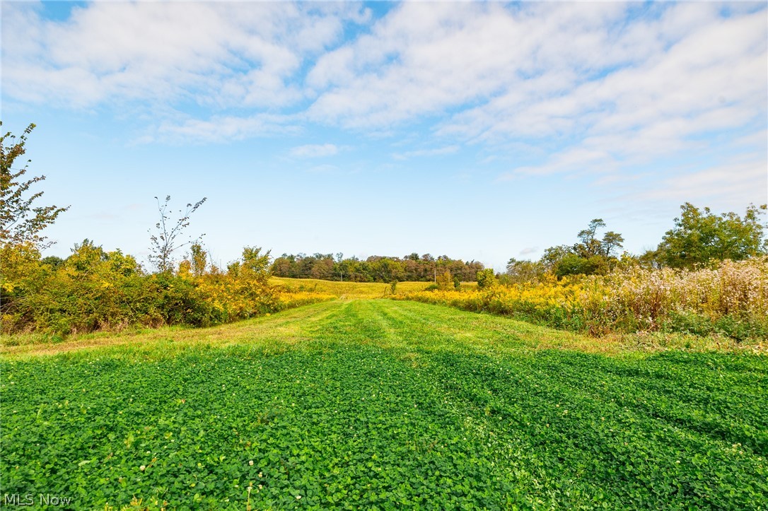 163 County Road 3 Rayland OH 43943