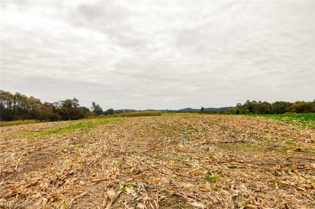 163 County Road 3 Rayland OH 43943