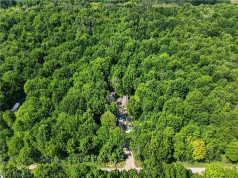 6737 Beckwith Drive Pierpont OH 44082