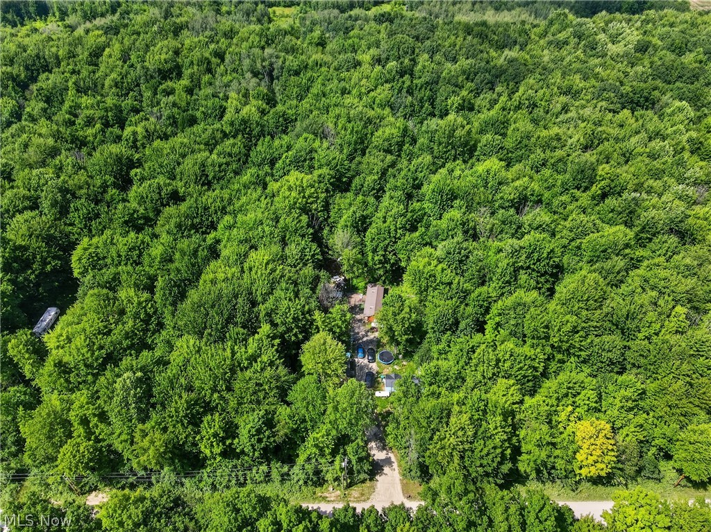 6737 Beckwith Drive Pierpont OH 44082