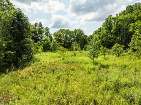 Blake Road Wadsworth OH 44281