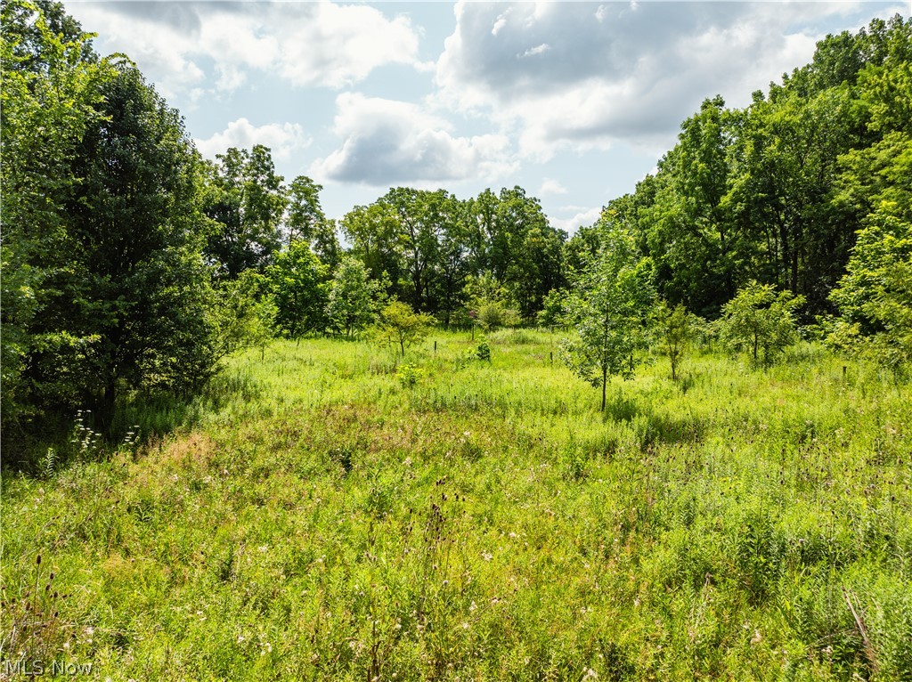 Blake Road Wadsworth OH 44281