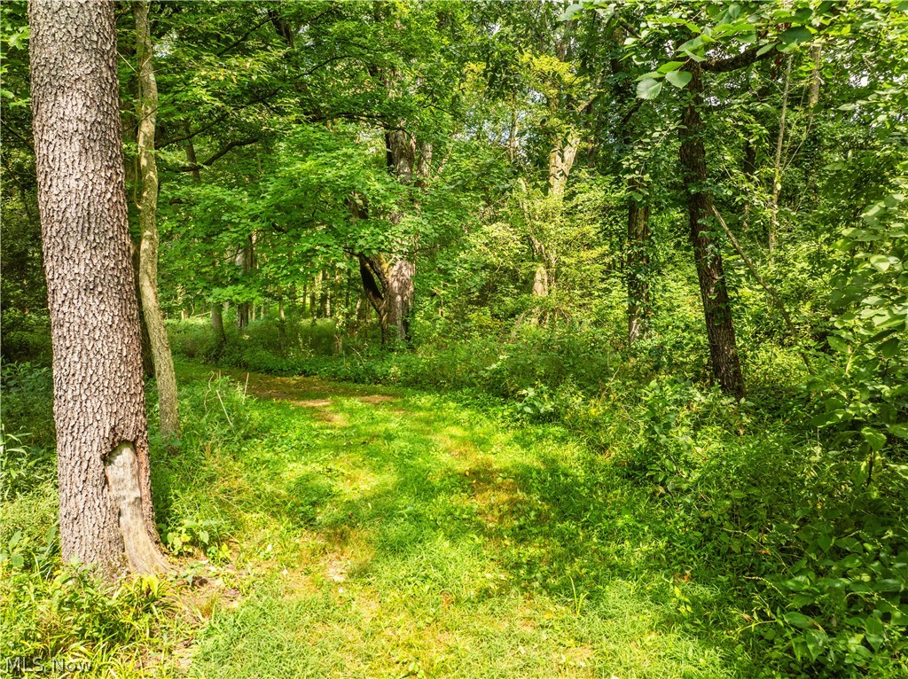 Blake Road Wadsworth OH 44281