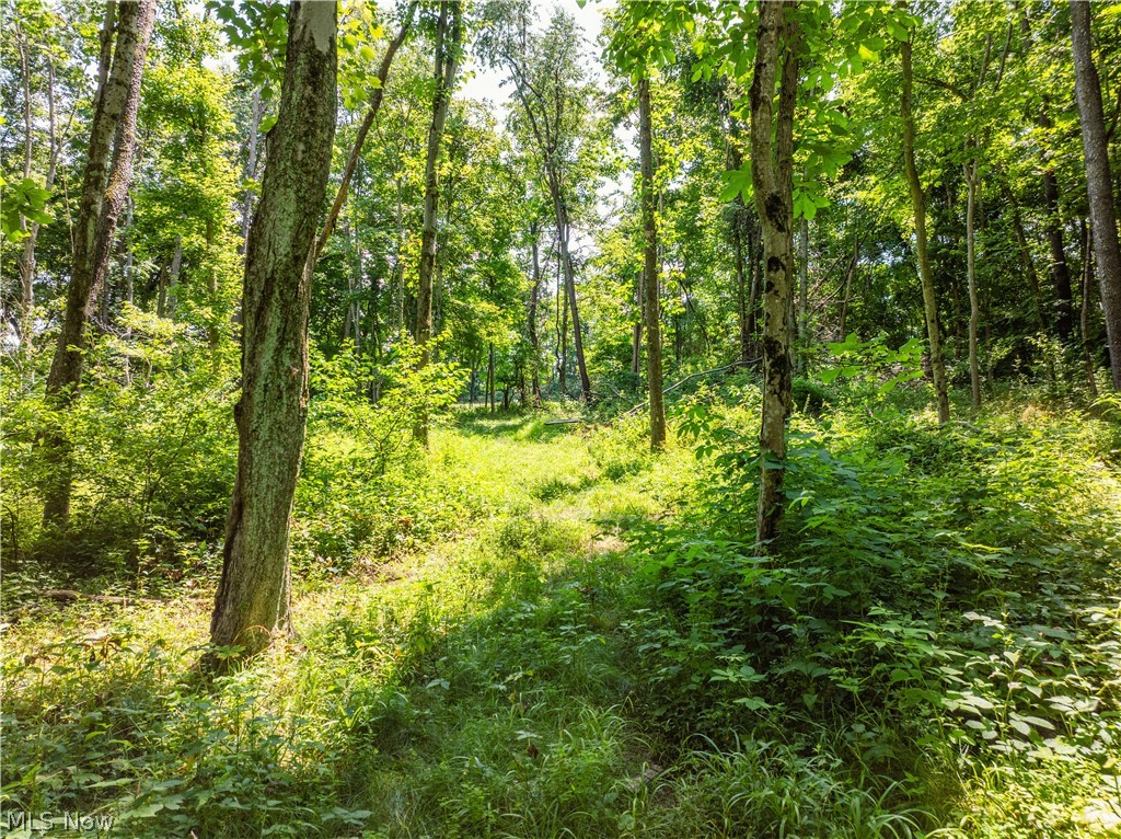 Lot 9 Township Road 51 Somerset OH 43783