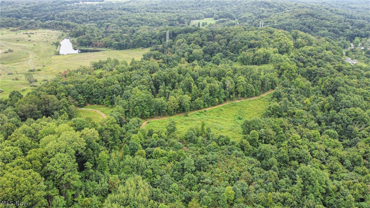 43998 Hammond School Road Wellsville OH 43968