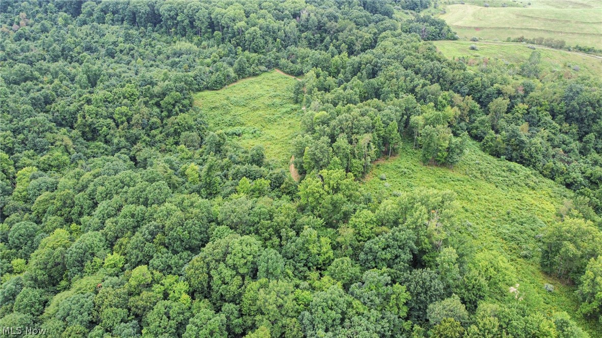 43998 Hammond School Road Wellsville OH 43968