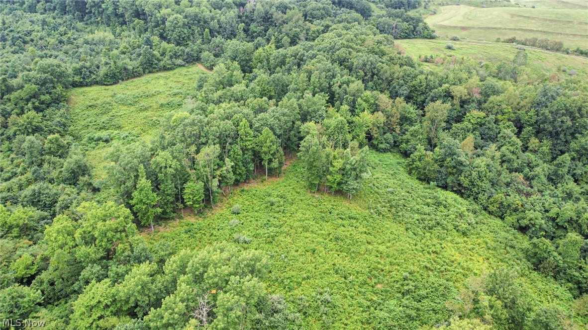 43998 Hammond School Road Wellsville OH 43968