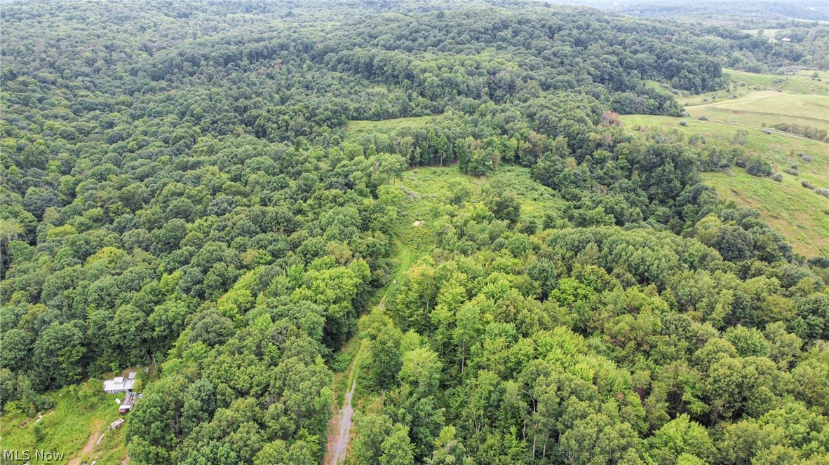 43998 Hammond School Road Wellsville OH 43968