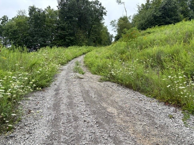 43998 Hammond School Road Wellsville OH 43968