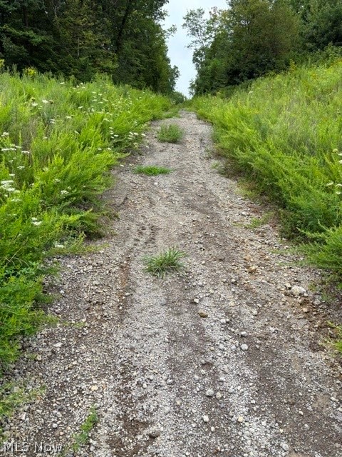 43998 Hammond School Road Wellsville OH 43968