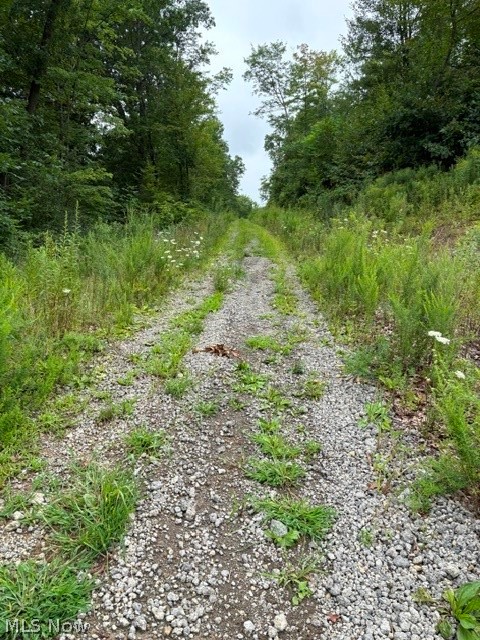 43998 Hammond School Road Wellsville OH 43968