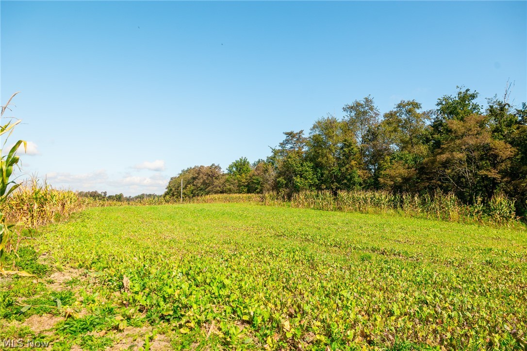 163 County Road 3 Rayland OH 43943