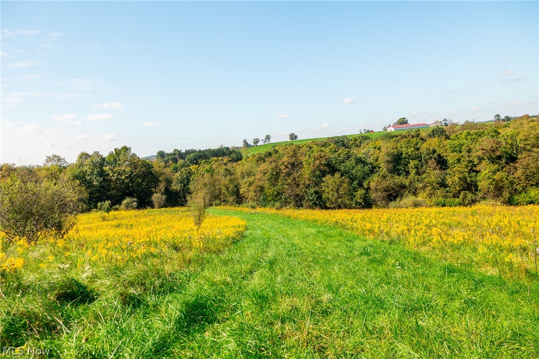 163 County Road 3 Rayland OH 43943