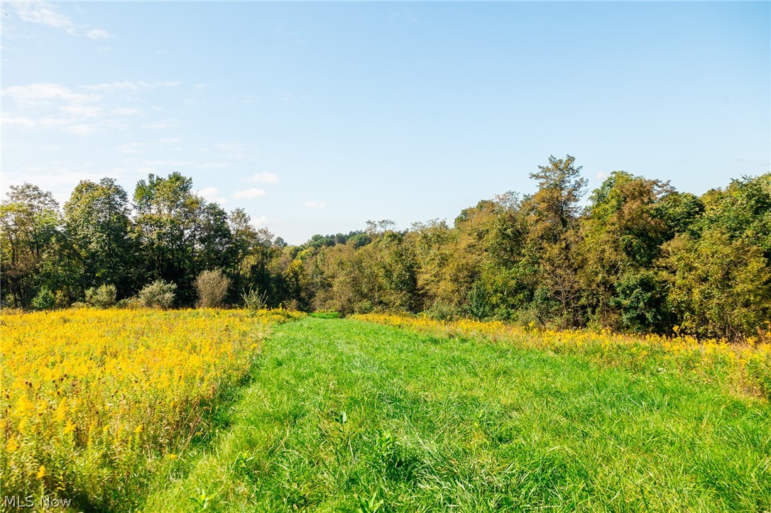 163 County Road 3 Rayland OH 43943