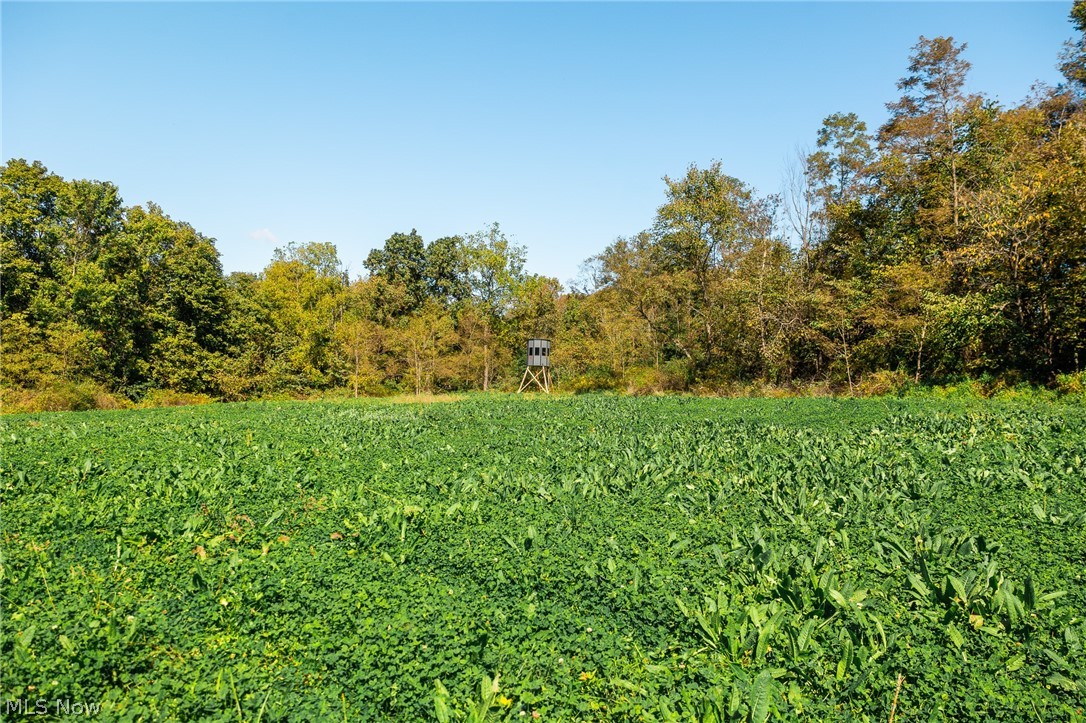 163 County Road 3 Rayland OH 43943