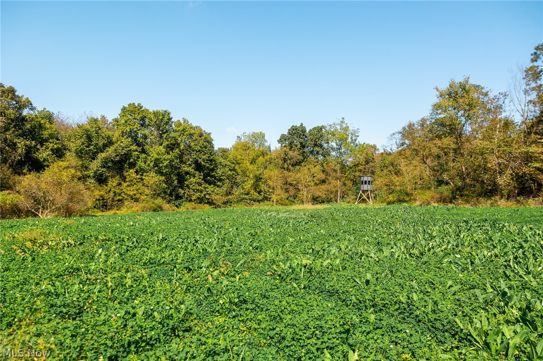 163 County Road 3 Rayland OH 43943