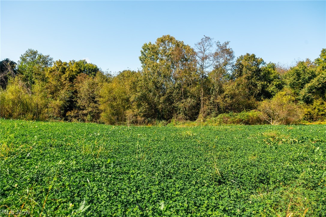 163 County Road 3 Rayland OH 43943