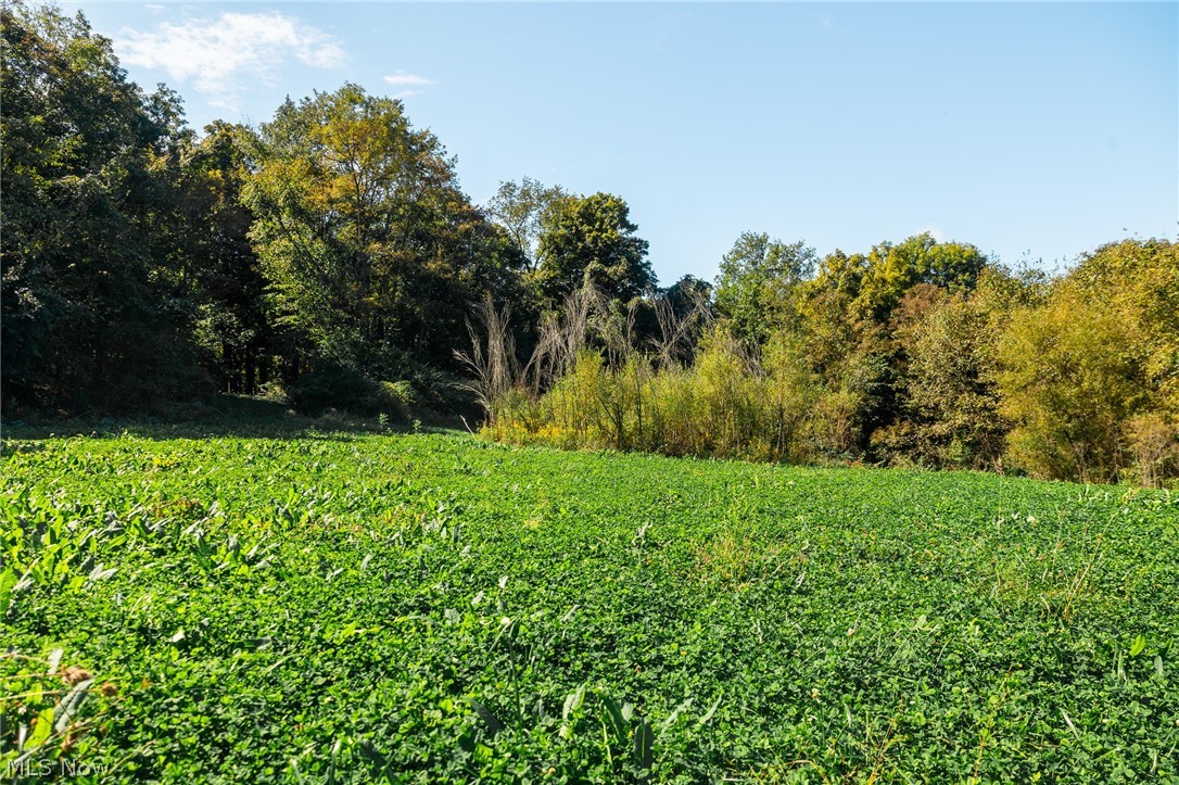 163 County Road 3 Rayland OH 43943